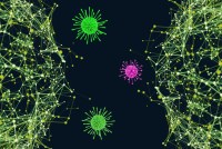 An illustration shows two diagrams of green dots connected by lines, suggesting connected data networks. Floating between those networks are 3D models of viruses.