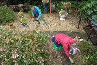 Two older women work together in a community garden.